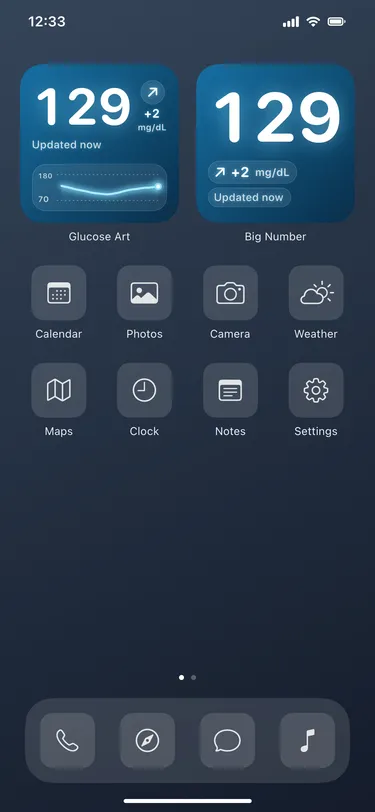 Ocean: actual Home Screen widgets with sample readings in an illustrative iPhone screen